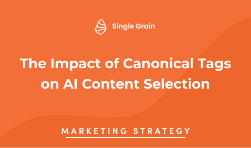 The Impact of Canonical Tags on AI Content Selection